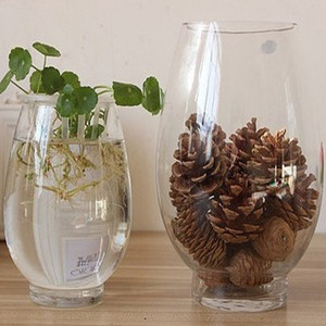 恐龙蛋花瓶透明玻璃花瓶水培花卉植物玻璃瓶玻