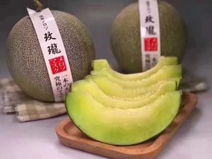 日本哈密瓜价格,日本哈密瓜专卖店,日本哈密瓜