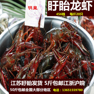 小龙虾活体价格,小龙虾活体专卖店,小龙虾活体