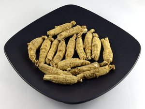 加拿大泡参价格,加拿大泡参专卖店,加拿大泡参