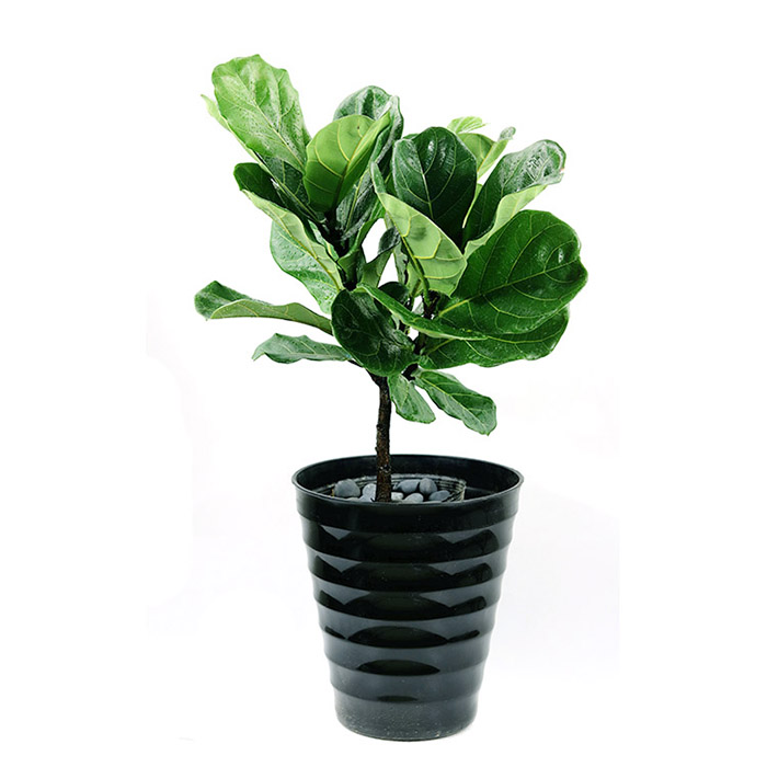 东契奇：进总决赛的穷困进程，咱们最终值得这所有的名誉(21年初次季后赛已比肩传奇)