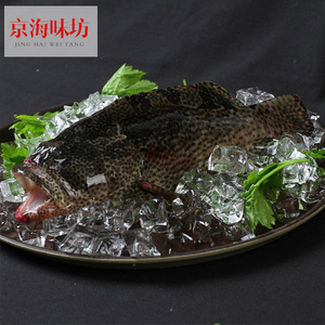 北京闪送鲜活野生老虎斑\/青斑【海水鱼】鲜活