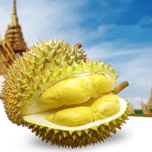 厚榴莲价格,厚榴莲专卖店,厚榴莲怎么样?