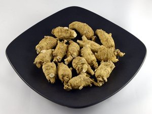 加拿大泡参价格,加拿大泡参专卖店,加拿大泡参