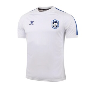 2017天津泰达球票价格,2017天津泰达球票专卖