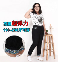 薄裤子秋装裤装妈妈修身弹力打底裤子弹力小脚紧身裤显黑色长瘦