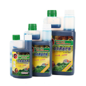 白皮鱼价格,白皮鱼专卖店,白皮鱼怎么样?