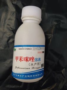 环虫锦鲤七彩 杀虫药送针管 鳃寄 擦身 蹭缸 单鳃呼吸