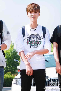 kenzo灰色虎头卫衣价格,kenzo灰色虎头卫衣专