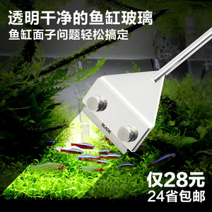 除藻工具鱼价格,除藻工具鱼专卖店,除藻工具鱼