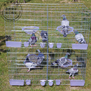 鸽子笼用品用具价格,鸽子笼用品用具专卖店,鸽